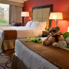 Отель Holiday Inn Montréal Centre-Ville Downtown, an IHG Hotel, фото 37