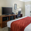 Отель Comfort Inn and Suites San Francisco Airport North, фото 4
