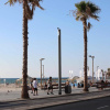 Отель Miami Beach Hotel Tel Aviv, фото 19