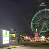 Отель Holiday Inn Orlando International Drive-ICON Park, an IHG Hotel, фото 1