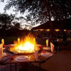 Отель Tuli Game Reserve - Pride Rock Camp, фото 10