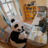 Отель Panda Hostel, фото 8