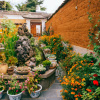 Отель Dali Shaxi Gumo Hostel, фото 4