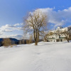 Отель Windham Hill Inn, фото 17