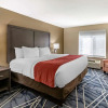 Отель Quality Inn & Suites, фото 14