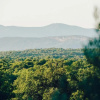 Отель Domaine Monte Verdi, фото 27