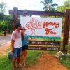 Отель Honey Tree Polonnaruwa, фото 15