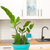 Отель Blue Apartment Old Town Air Condition p4you pl, фото 4