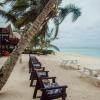 Отель Nikao Beach Bungalows, фото 1