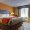 Отель Comfort Inn Chattanooga, фото 5
