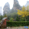 Отель Lingting · Cloud and Mist Mountain-view Inn (Zhangjiajie Wulingyuan National Forest Park Sign Gate), фото 16
