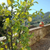 Отель Agriturismo Castello Di Querceto, фото 10
