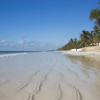 Отель Diani Sea Resort, фото 9