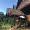 Отель Tambopata Inn, фото 25