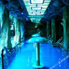 Отель International Pacific Club Shenyang, фото 4