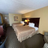 Отель Best Western Hopkinsville KY - Brand New Rooms, фото 4