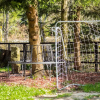 Отель Hostel Braunlage, фото 29