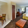 Отель Holiday Inn Express Hotel & Suites Frankenmuth, an IHG Hotel, фото 6