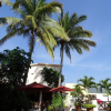 Отель Palapa Palace, фото 14