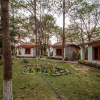 Отель Jungle King Resort, фото 24