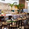 Отель Tukan Hotel Playa del Carmen, фото 10
