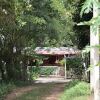 Отель Hospedaje Los Pinos, Cabaña en Minca, фото 1