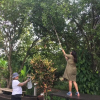 Отель Baan Loylom Farmstay, фото 11