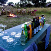 Отель Serengeti Savannah Camps, фото 10