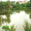 Отель Loc Khang Homestay, фото 20