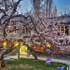Отель Sehrish Guest House Skardu, фото 8