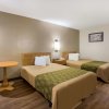 Отель Econo Lodge Live Oak, фото 34