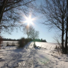 Отель Olborbotte, фото 7