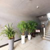 Отель Buyeo Hongsan 3F Motel, фото 6