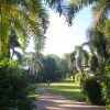 Отель Cocos Beach Bungalows, фото 15