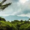 Отель Tanna Top View Bungalows, фото 11