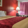 Отель Spencer Inn and Suites, фото 4
