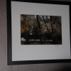 Отель Off Broadway B&B, фото 8