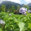 Отель Feistererhof, фото 1