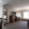 Отель Hampton Inn & Suites Dallas-DFW Airport North-Grapevine, фото 7
