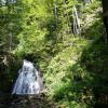 Отель Fichtenhof am Wasserfall, фото 6