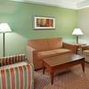 Отель Holiday Inn Express Hotel & Suites Niagara Falls, an IHG Hotel, фото 12