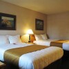 Отель Econo Lodge Inn & Suites Central, фото 4