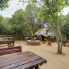 Отель Warthogs Bush Lodge, фото 8