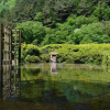 Отель Nishiyama Onsen Keiunkan, фото 21
