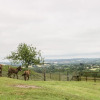 Отель The Barn, фото 18
