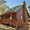 Отель Kountry Bears Honey 211 - Two Bedroom Cabin, фото 5