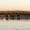 Отель Buffalo Tented Lodge, фото 41