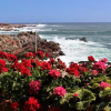 Отель Villa Marine, фото 23