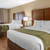 Отель Comfort Inn Okemos - East Lansing, фото 3