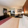 Отель Red Roof Inn PLUS+ St Louis - Forest Park/ Hampton Ave, фото 25